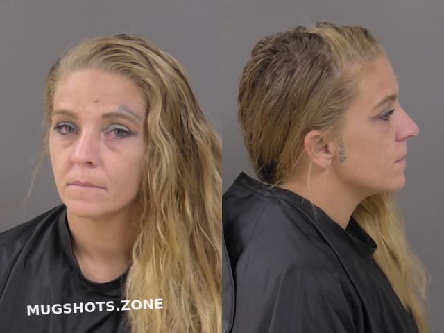 Briggs Brandi Leigh Indian River County Mugshots Zone