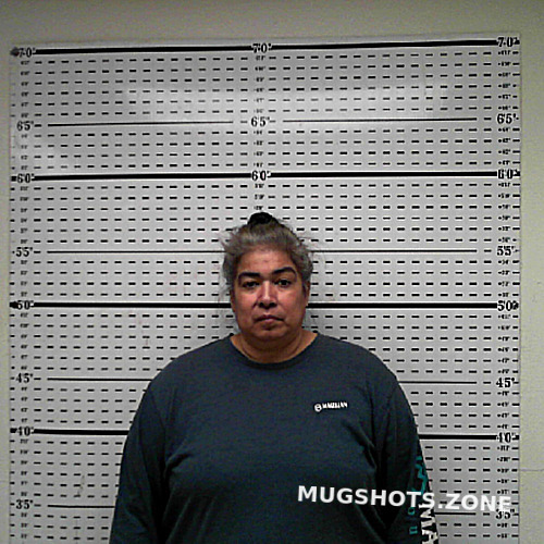 HINOJOSA NICOLE MARIE 06 13 2024 Jim Wells County Mugshots Zone