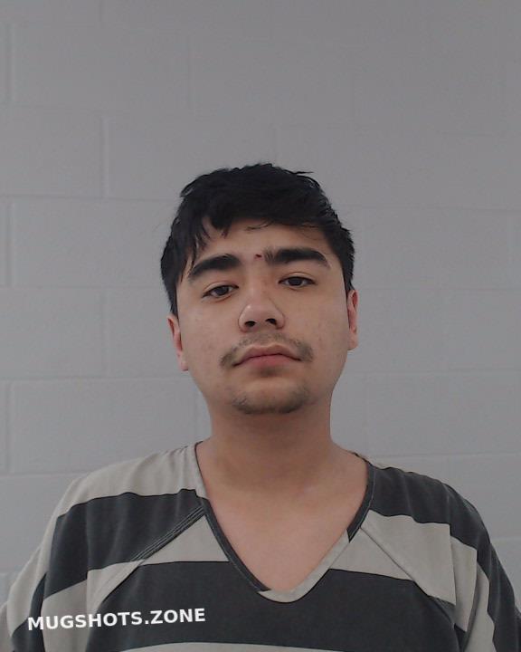 Nguyen Thomas Johnson County Mugshots Zone