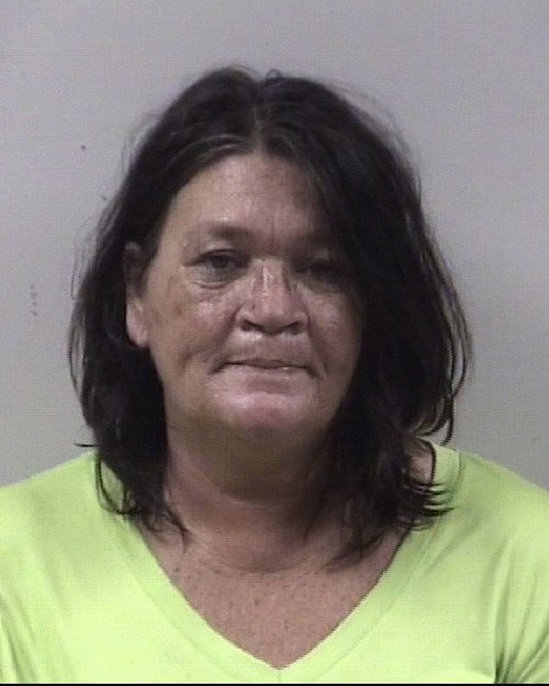 SANDRA LEE NOVAK 04 19 2021 Johnston County Mugshots Zone