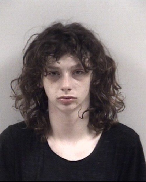 VERONICA FRANCES LONGEST 05 06 2021 Johnston County Mugshots Zone