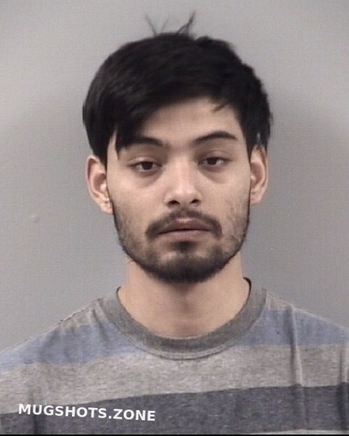 LUIS ESTEBAN SOLER 02 14 2022 Johnston County Mugshots Zone