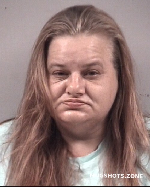 Tina Marie Williams Johnston County Mugshots Zone