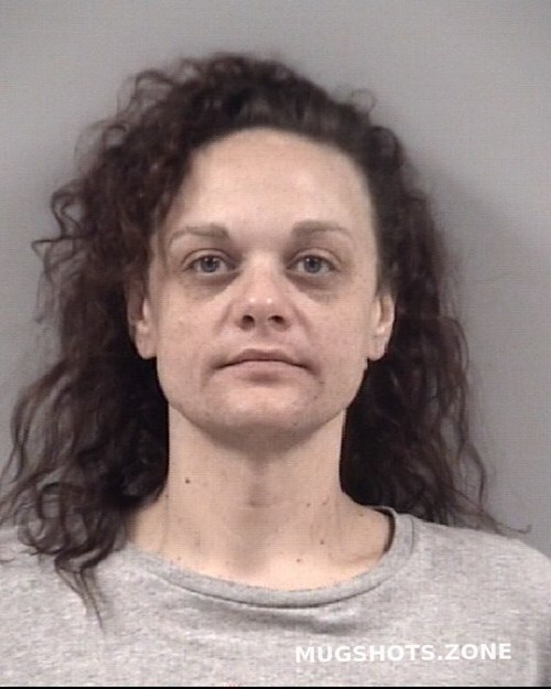 Amanda Louise Hamilton Johnston County Mugshots Zone