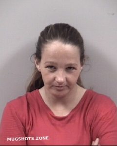 Brandi Nicole Bridgers Johnston County Mugshots Zone