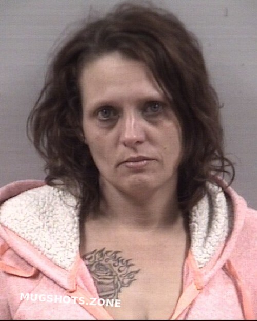 Jacqueline Deidra Hare Johnston County Mugshots Zone