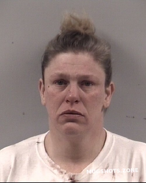 Cynthia Dawn Perry Johnston County Mugshots Zone