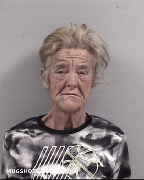 CAROL JEAN OLSEN 01 23 2023 Johnston County Mugshots Zone