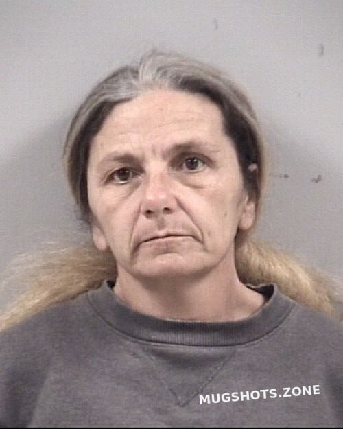 Loretta Gail Baker Johnston County Mugshots Zone