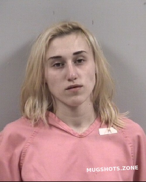 BAILEY BREANN BEASLEY 03 16 2023 Johnston County Mugshots Zone