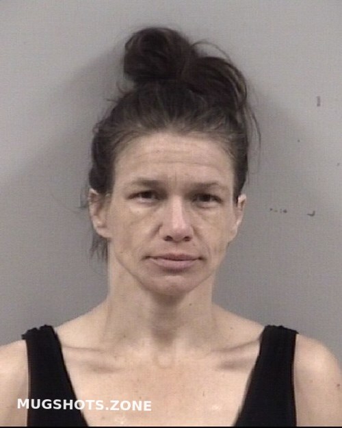 ASHLEY NICHOLE YEAGER 03 18 2023 Johnston County Mugshots Zone