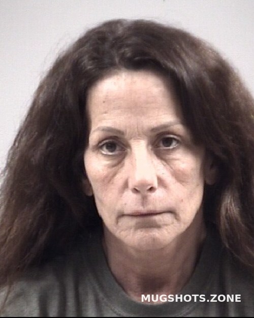 Michele Lee Agiesta Johnston County Mugshots Zone