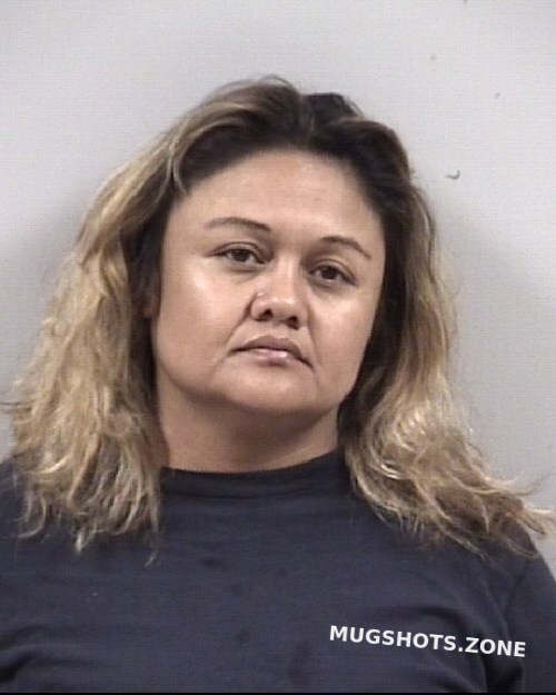 Ma Del Carmen Martinez Flores Johnston County Mugshots Zone