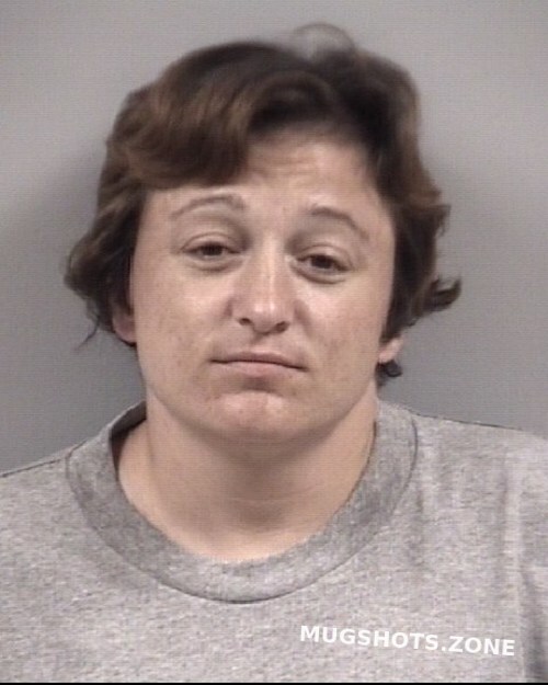 STEPHANIE DIANE WILLIAMS 06 28 2023 Johnston County Mugshots Zone