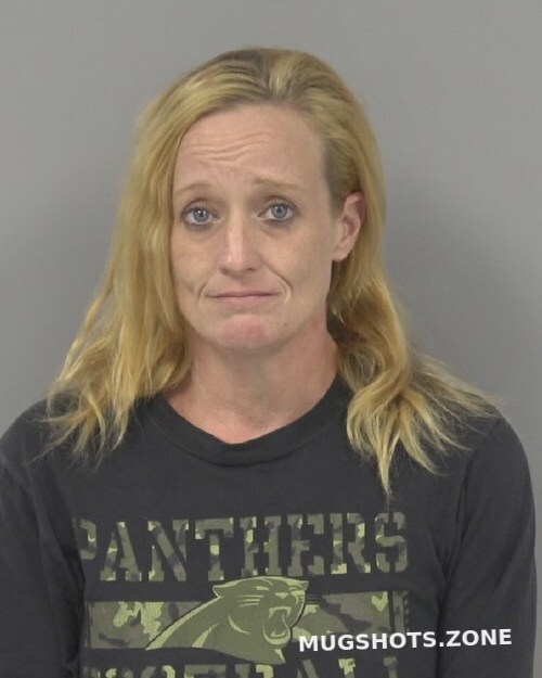 MELANIE CHRISTIAN NORRIS 11 17 2023 Johnston County Mugshots Zone