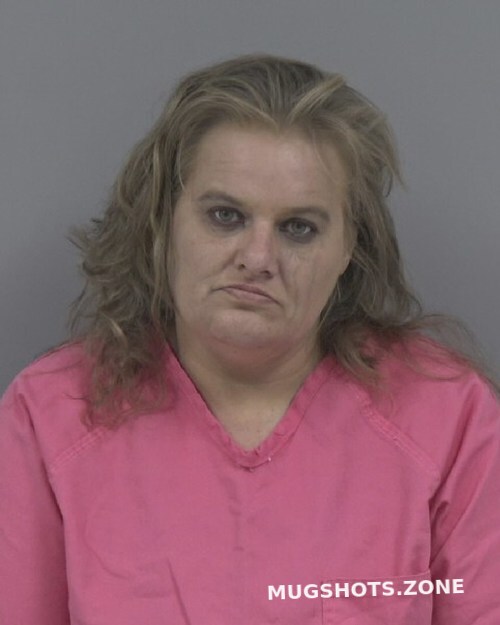 Tina Marie Williams Johnston County Mugshots Zone