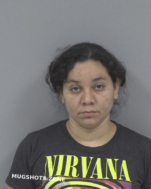 Ana Vicenta Castillo Martinez Johnston County Mugshots Zone