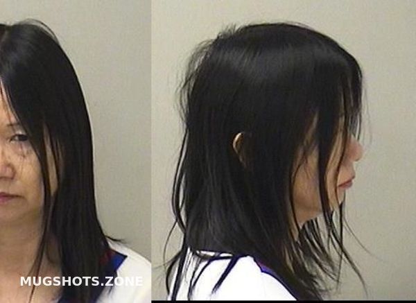 WANG LI 12 13 2023 Kane County Mugshots Zone