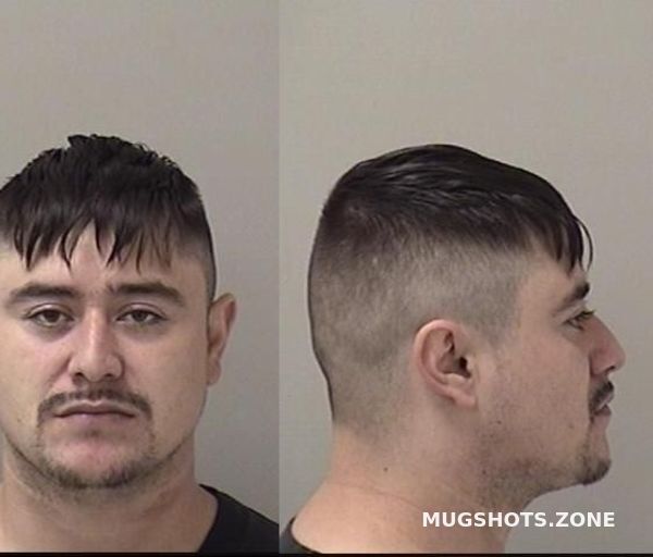 Alcantara Gonzalez Ulises Kane County Mugshots Zone