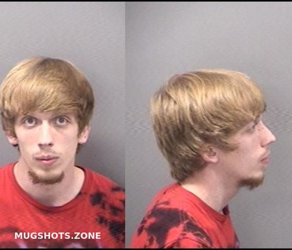 Love Jesse J Kankakee County Mugshots Zone