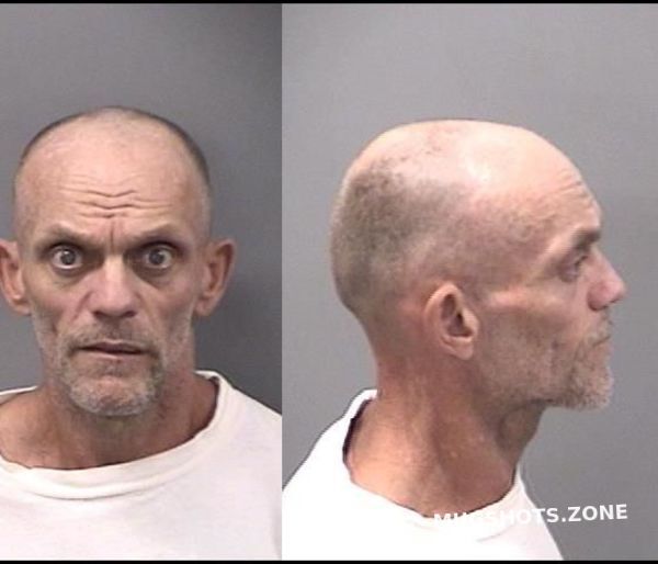 Loy George T Kankakee County Mugshots Zone