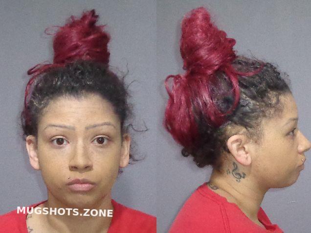 Dale Arica N Kendall County Mugshots Zone