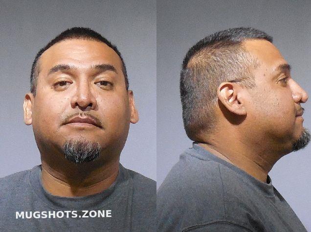 Castellanos Sergio Kendall County Mugshots Zone