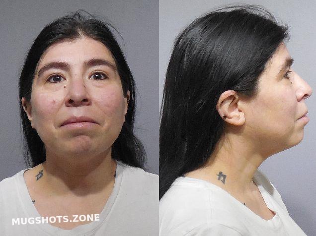 Scoggin Sylvia Gutierrez Kendall County Mugshots Zone