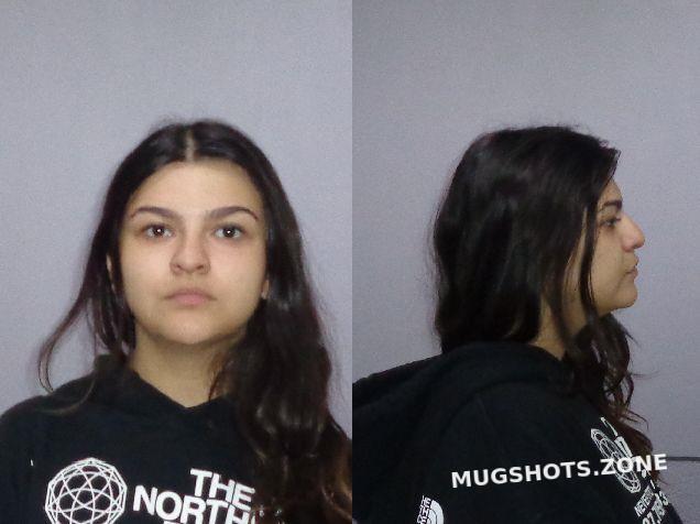 Martinez Nathaly Kendall County Mugshots Zone