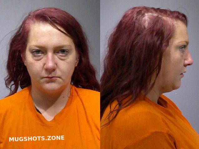 Johnson Samantha Rhea Kendall County Mugshots Zone