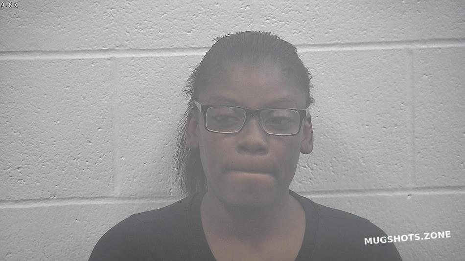 Mitchell Tiffany Marie Kenton County Mugshots Zone