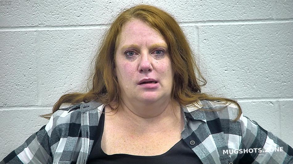 Cox Karen Michelle Kenton County Mugshots Zone