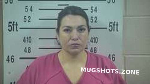 ERICA CASTILLO 04 02 2023 Kleberg County Mugshots Zone