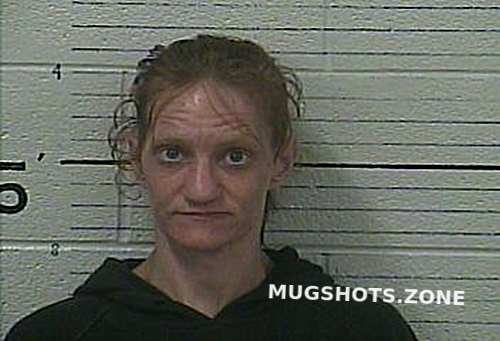 WORLEY NATASHA ANN 05 29 2022 Knox County Mugshots Zone