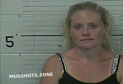 HOOKER SHYANN LYNN 07 13 2022 Knox County Mugshots Zone