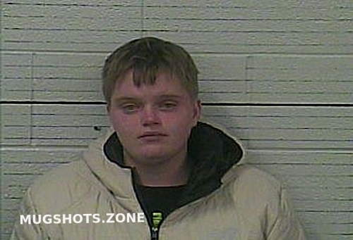 HALL COURTNEY MICHELLE 11 20 2022 Knox County Mugshots Zone