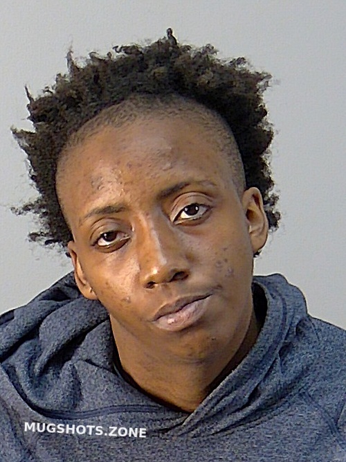 CORMONI DANAY SOLOMON 05 31 2022 Lake County Mugshots Zone