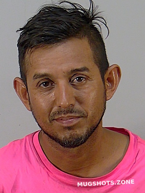 JOSE GUADALUPE ZAMARRIPA CANCHOLA 08 10 2022 Lake County Mugshots Zone