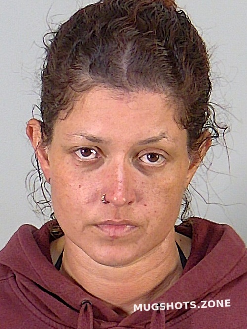 BRIDGET ELSIE TORRES 09 29 2022 Lake County Mugshots Zone