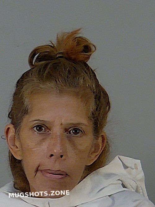 Tanya M Hoyle Lake County Mugshots Zone