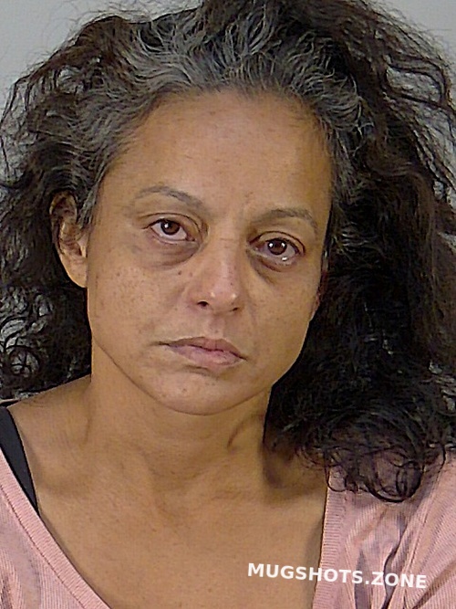 Sonia Sanabria Lake County Mugshots Zone