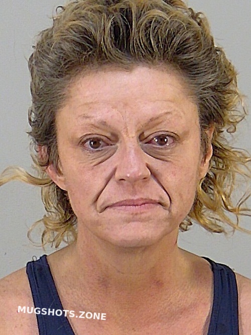 Stacey Beth Weber Lake County Mugshots Zone