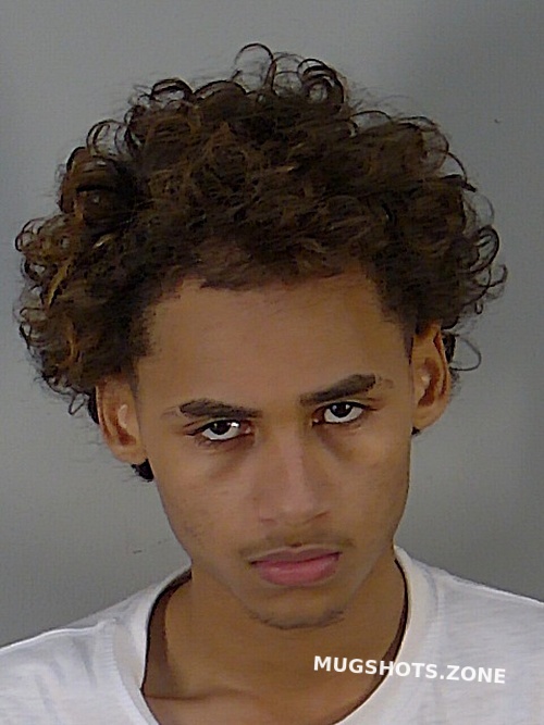 DEVIN ANGELO SWAIN 11 18 2022 Lake County Mugshots Zone