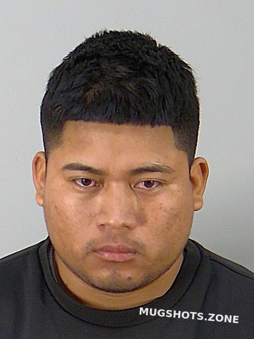 Nelson Perez Lake County Mugshots Zone