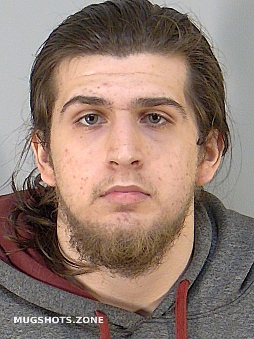 Dillon Mcnamara Lake County Mugshots Zone