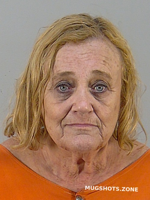 Susan Morangelli Nemec Lake County Mugshots Zone