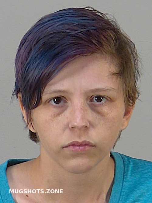 Amber Rene Porter Lake County Mugshots Zone