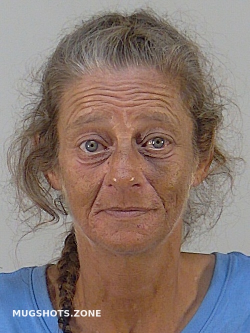 Brenda Lee Clark Lake County Mugshots Zone