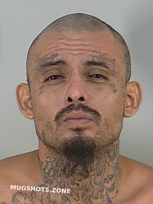 Marcos Antonio Cortez Ruiz Lake County Mugshots Zone