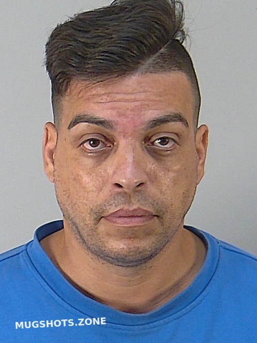 Pedro Michael Cabrera Lake County Mugshots Zone